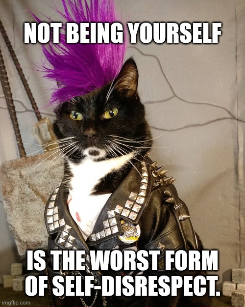 It's more than the music... |  NOT BEING YOURSELF; IS THE WORST FORM OF SELF-DISRESPECT. | image tagged in punk rock,disrespect,life lessons,life problems,cat,kitty | made w/ Imgflip meme maker