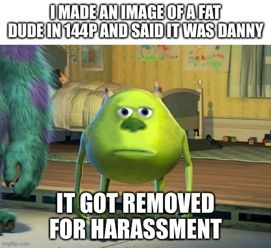 Why | I MADE AN IMAGE OF A FAT DUDE IN 144P AND SAID IT WAS DANNY; IT GOT REMOVED FOR HARASSMENT | image tagged in mike wazowski bruh | made w/ Imgflip meme maker