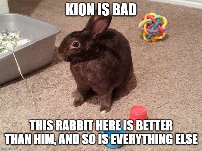 Rabbit with toys | KION IS BAD; THIS RABBIT HERE IS BETTER THAN HIM, AND SO IS EVERYTHING ELSE | image tagged in rabbit with toys,memes,the lion guard | made w/ Imgflip meme maker