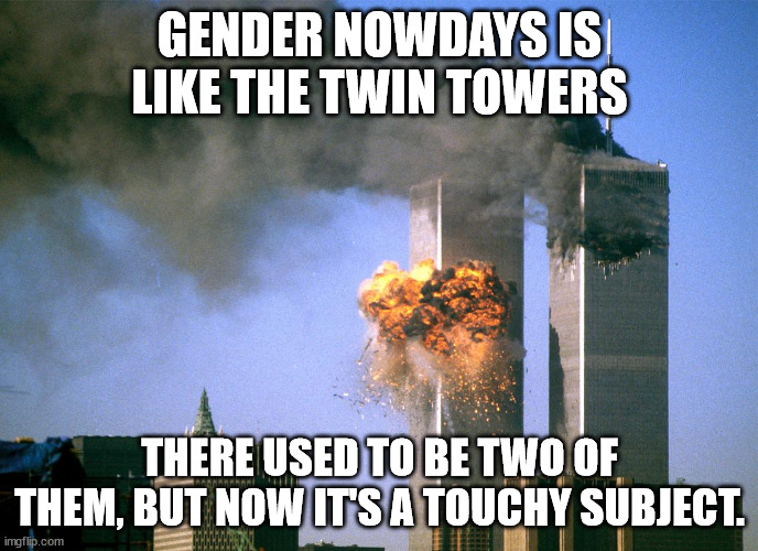 911 9/11 twin towers impact | GENDER NOWDAYS IS LIKE THE TWIN TOWERS; THERE USED TO BE TWO OF THEM, BUT NOW IT'S A TOUCHY SUBJECT. | image tagged in 911 9/11 twin towers impact | made w/ Imgflip meme maker