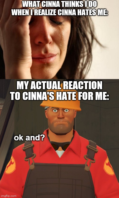 I'm glad she hates me | WHAT CINNA THINKS I DO WHEN I REALIZE CINNA HATES ME:; MY ACTUAL REACTION TO CINNA'S HATE FOR ME: | image tagged in memes,first world problems,ok and | made w/ Imgflip meme maker