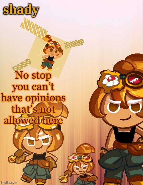 No stop you can’t have opinions that’s not allowed here | image tagged in shady s 4th croissant temp thanks laks | made w/ Imgflip meme maker