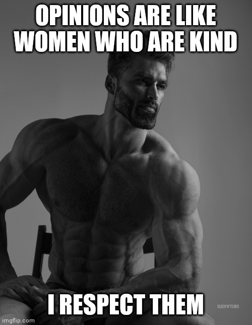 Each opinion you reject = shitty woman is born | OPINIONS ARE LIKE WOMEN WHO ARE KIND; I RESPECT THEM | image tagged in giga chad | made w/ Imgflip meme maker