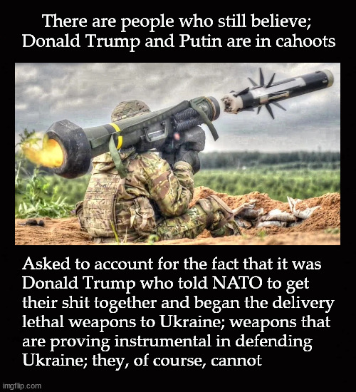 Trump and Putin in cahoots? | There are people who still believe;
 Donald Trump and Putin are in cahoots; Asked to account for the fact that it was
Donald Trump who told NATO to get 
their shit together and began the delivery
lethal weapons to Ukraine; weapons that
are proving instrumental in defending 
Ukraine; they, of course, cannot | image tagged in trump,putin,javelin missiles | made w/ Imgflip meme maker