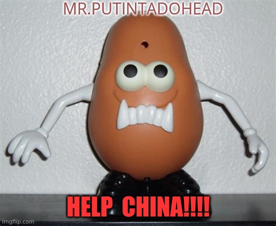 President Putintadohead |  MR.PUTINTADOHEAD; HELP  CHINA!!!! | image tagged in vladimir putin,mr potato head,loser,dictator | made w/ Imgflip meme maker