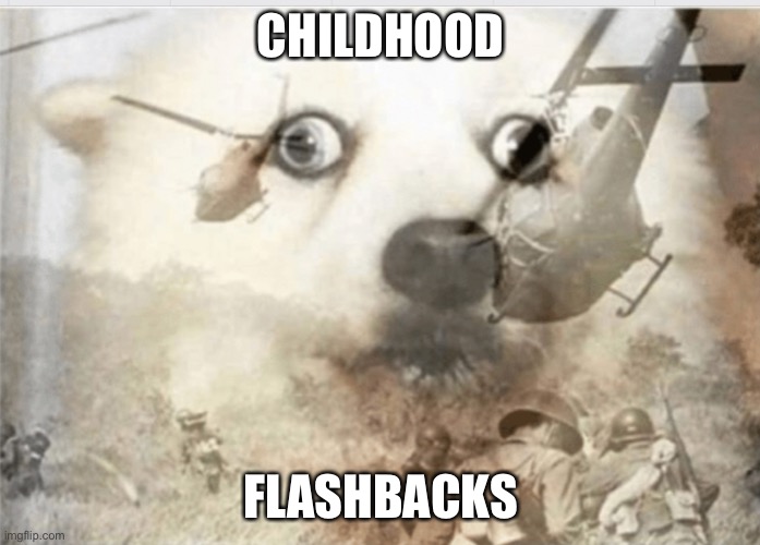 Right in the childhood | CHILDHOOD FLASHBACKS | image tagged in ptsd dog,flashback | made w/ Imgflip meme maker
