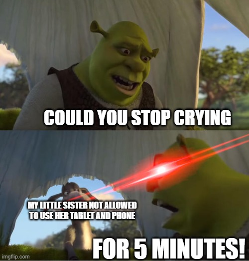Shrek For Five Minutes | COULD YOU STOP CRYING; MY LITTLE SISTER NOT ALLOWED TO USE HER TABLET AND PHONE; FOR 5 MINUTES! | image tagged in shrek for five minutes | made w/ Imgflip meme maker