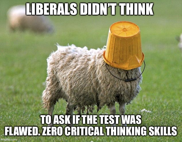 stupid sheep | LIBERALS DIDN’T THINK TO ASK IF THE TEST WAS FLAWED. ZERO CRITICAL THINKING SKILLS | image tagged in stupid sheep | made w/ Imgflip meme maker