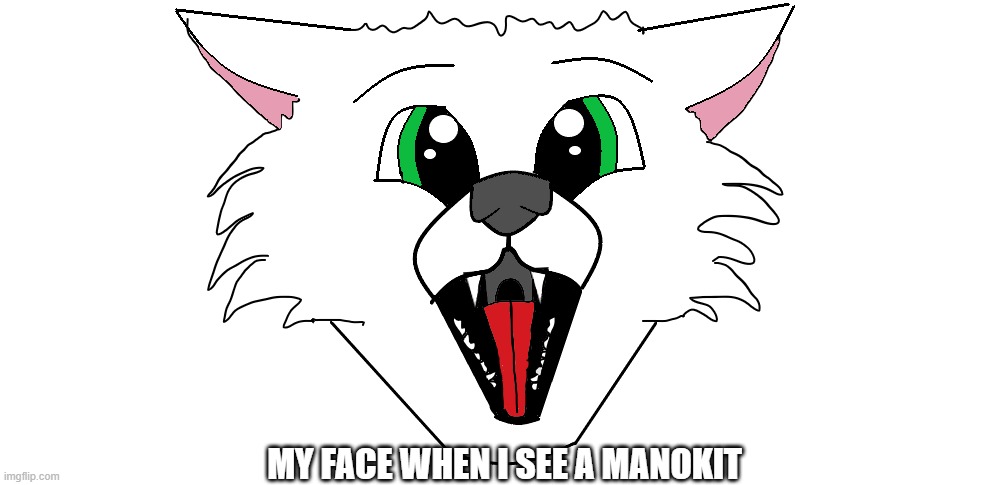 Manokits are so cute | MY FACE WHEN I SEE A MANOKIT | image tagged in my face when,furry,furries,cute | made w/ Imgflip meme maker