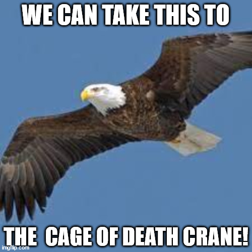 WE CAN TAKE THIS TO THE  CAGE OF DEATH CRANE! | made w/ Imgflip meme maker