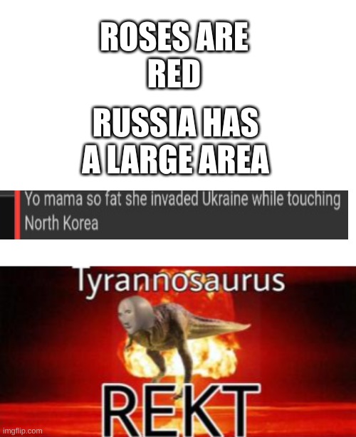 Yo mama | ROSES ARE
RED; RUSSIA HAS A LARGE AREA | image tagged in blank white template,tyrannosaurus rekt | made w/ Imgflip meme maker