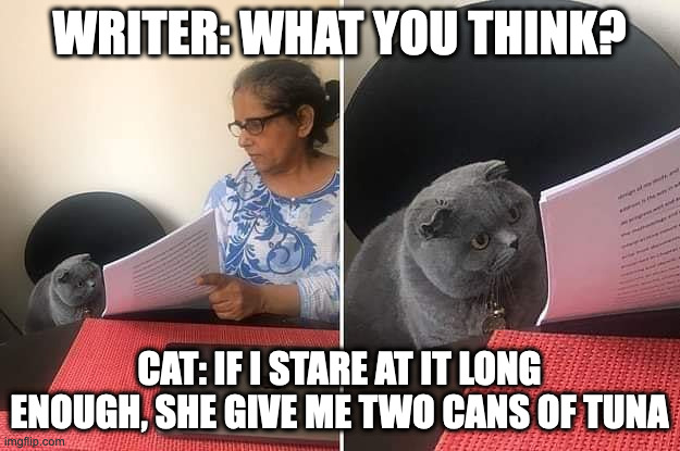 Woman showing paper to cat |  WRITER: WHAT YOU THINK? CAT: IF I STARE AT IT LONG ENOUGH, SHE GIVE ME TWO CANS OF TUNA | image tagged in woman showing paper to cat | made w/ Imgflip meme maker
