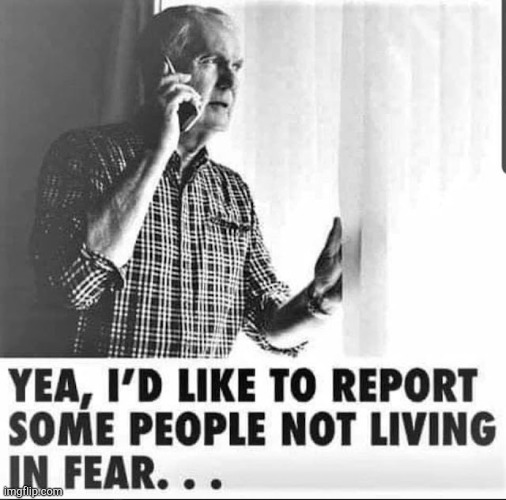 Report people not living in fear | image tagged in report people not living in fear | made w/ Imgflip meme maker