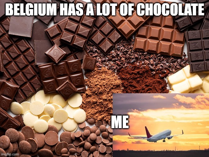 belgium=chocolate | BELGIUM HAS A LOT OF CHOCOLATE; ME | image tagged in belgium | made w/ Imgflip meme maker