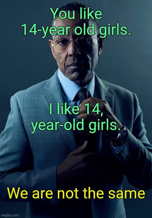 . | You like 14-year old girls. I like 14, year-old girls. We are not the same | image tagged in we are not the same | made w/ Imgflip meme maker