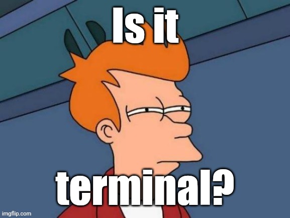 Fry is not sure... | Is it terminal? | image tagged in fry is not sure | made w/ Imgflip meme maker