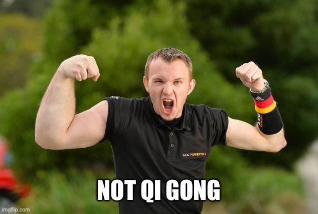 Arm Wrestler with One Big Arm | NOT QI GONG | image tagged in arm wrestler with one big arm | made w/ Imgflip meme maker