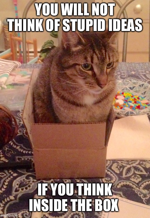 Cat in box | YOU WILL NOT THINK OF STUPID IDEAS IF YOU THINK INSIDE THE BOX | image tagged in cat in box | made w/ Imgflip meme maker