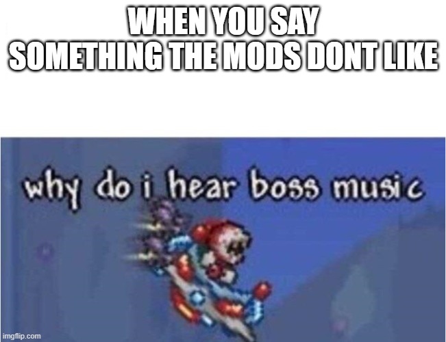 Might be a permaban | WHEN YOU SAY SOMETHING THE MODS DONT LIKE | image tagged in why do i hear boss music | made w/ Imgflip meme maker