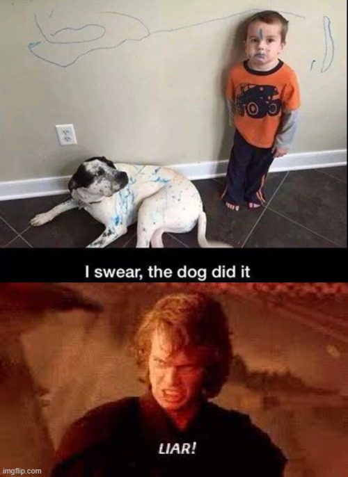 LIAR! | image tagged in anakin liar | made w/ Imgflip meme maker