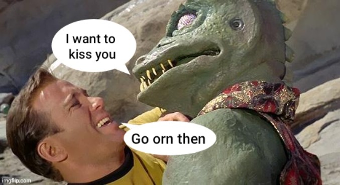 Kirk and the Gorn | image tagged in star trek,kirk,spock,funny memes,lol | made w/ Imgflip meme maker
