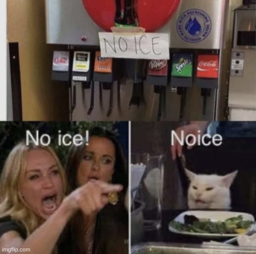 Noice | image tagged in noice | made w/ Imgflip meme maker