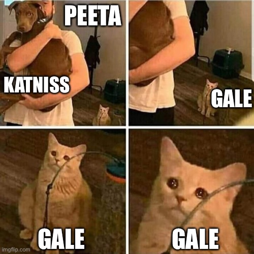 Poor Gale | PEETA; KATNISS; GALE; GALE; GALE | image tagged in sad cat holding dog | made w/ Imgflip meme maker