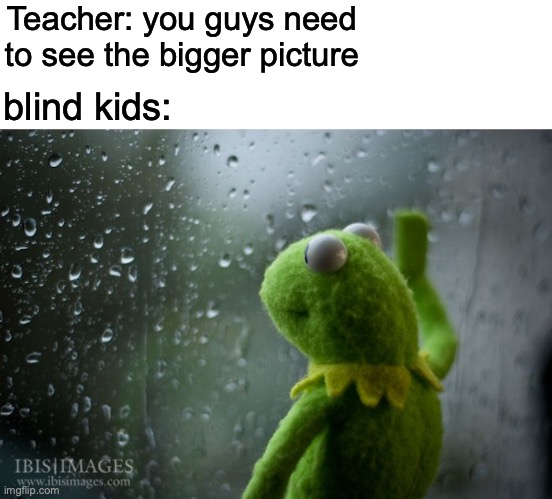 they can't! | Teacher: you guys need to see the bigger picture; blind kids: | image tagged in kermit window,fuuny,dark humor,memes | made w/ Imgflip meme maker