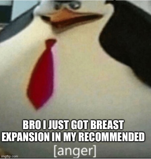 kein joke | BRO I JUST GOT BREAST EXPANSION IN MY RECOMMENDED | image tagged in anger | made w/ Imgflip meme maker