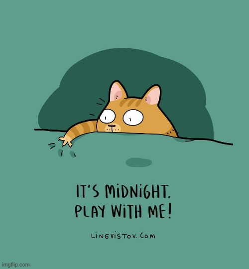 A Cat's Way Of Thinking | image tagged in memes,comics,cats,midnight,play,time | made w/ Imgflip meme maker