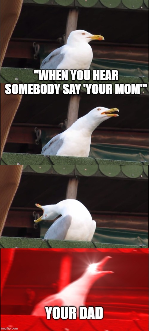 Inhaling Seagull Meme | "WHEN YOU HEAR SOMEBODY SAY 'YOUR MOM'"; YOUR DAD | image tagged in memes,inhaling seagull | made w/ Imgflip meme maker