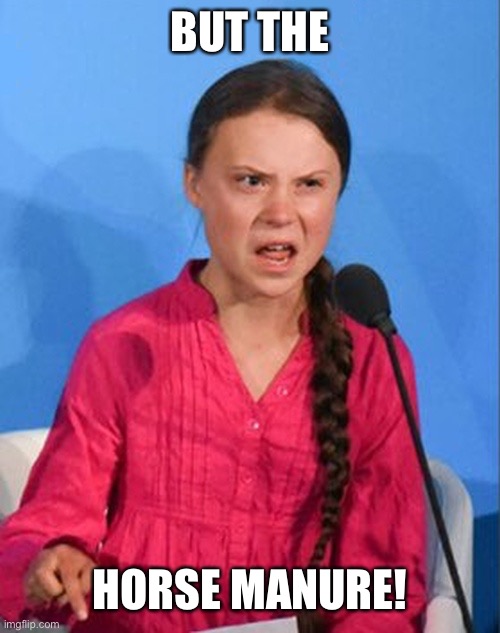 Greta Thunberg how dare you | BUT THE HORSE MANURE! | image tagged in greta thunberg how dare you | made w/ Imgflip meme maker