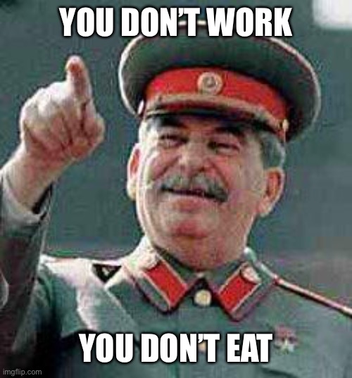 Stalin says | YOU DON’T WORK YOU DON’T EAT | image tagged in stalin says | made w/ Imgflip meme maker