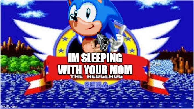 ahhhhhhhhh | IM SLEEPING WITH YOUR MOM | image tagged in blank the hedgehog,what the | made w/ Imgflip meme maker