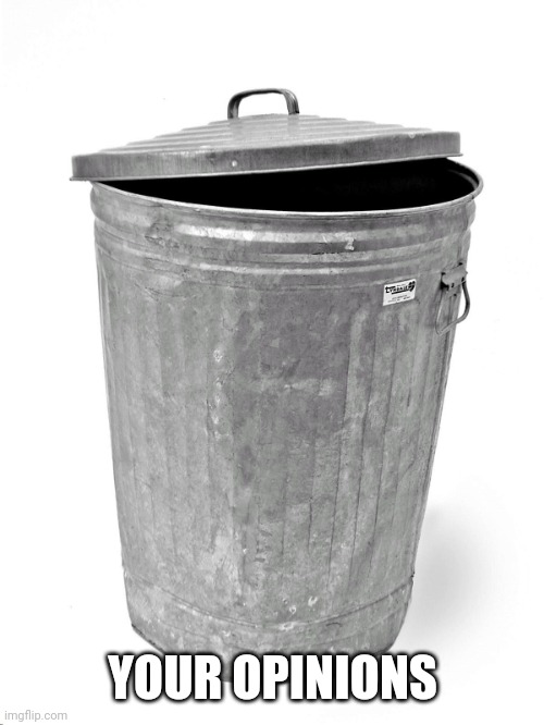 Trash Can | YOUR OPINIONS | image tagged in trash can | made w/ Imgflip meme maker