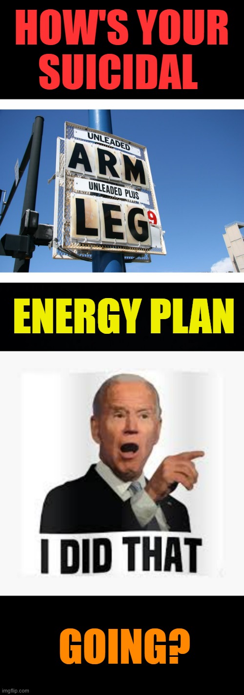 Hey Joe Biden | HOW'S YOUR SUICIDAL; ENERGY PLAN; GOING? | image tagged in memes,politics,joe biden,suicide,energy,plan | made w/ Imgflip meme maker