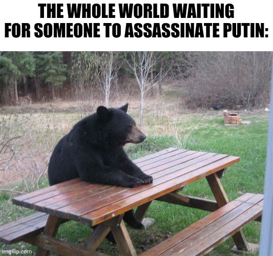 Patient Bear | THE WHOLE WORLD WAITING FOR SOMEONE TO ASSASSINATE PUTIN: | image tagged in patient bear,memes,putin,funny,assassination,funny memes | made w/ Imgflip meme maker