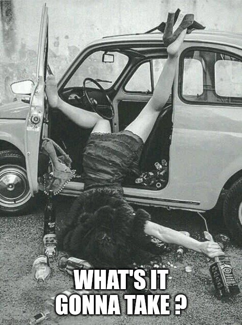 Drunk Girl  | WHAT'S IT GONNA TAKE ? | image tagged in drunk girl | made w/ Imgflip meme maker