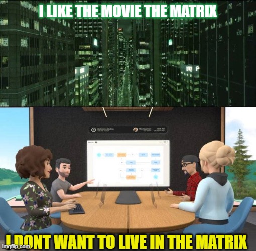 Can we just keep the matrix movies as sci fi? | I LIKE THE MOVIE THE MATRIX; I DONT WANT TO LIVE IN THE MATRIX | image tagged in matrix,meta,metaverse,the sims | made w/ Imgflip meme maker