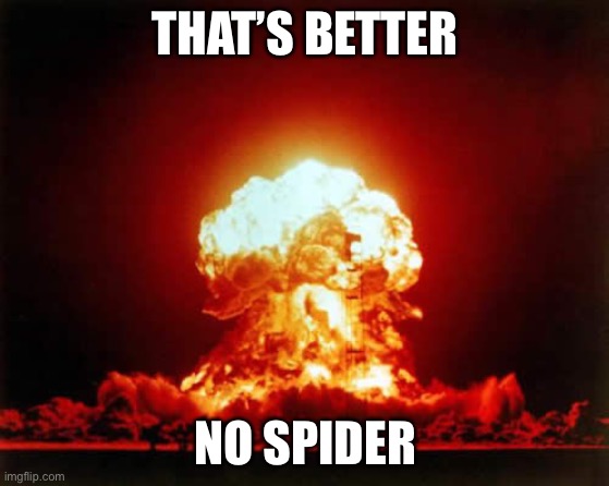 Nuclear Explosion Meme | THAT’S BETTER NO SPIDER | image tagged in memes,nuclear explosion | made w/ Imgflip meme maker