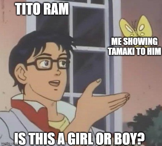 is this butterfly | TITO RAM; ME SHOWING TAMAKI TO HIM; IS THIS A GIRL OR BOY? | image tagged in is this butterfly | made w/ Imgflip meme maker