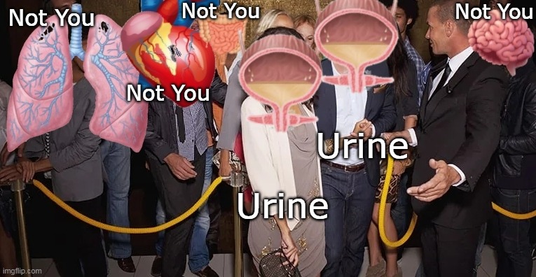 Ur In(e) | Not You; Not You; Not You; Not You; Urine; Urine | image tagged in ur in e,memes | made w/ Imgflip meme maker