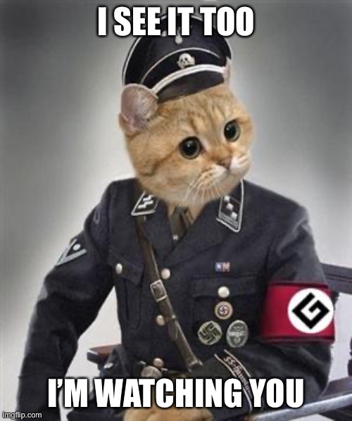 Grammar Nazi Cat | I SEE IT TOO I’M WATCHING YOU | image tagged in grammar nazi cat | made w/ Imgflip meme maker