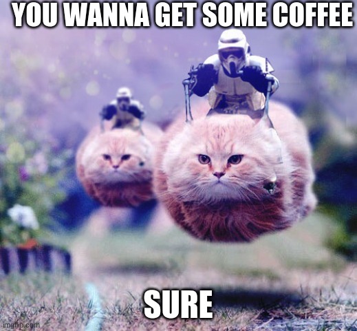 Scout Trooper 74-Z Catspeeder | YOU WANNA GET SOME COFFEE; SURE | image tagged in scout trooper 74-z catspeeder | made w/ Imgflip meme maker