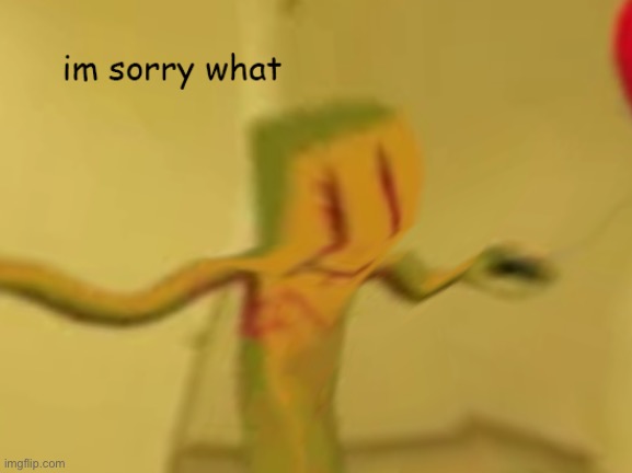 i’m sorry what | image tagged in i'msorrywhatygoer | made w/ Imgflip meme maker