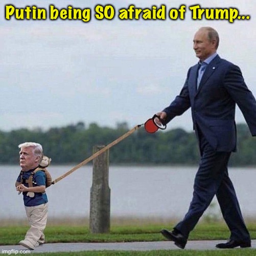 So afraid... | Putin being SO afraid of Trump... | image tagged in putin trump leash | made w/ Imgflip meme maker
