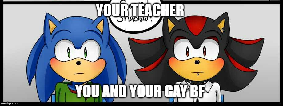 don't stare at your teacher like this | YOUR TEACHER; YOU AND YOUR GAY BF | image tagged in sonic the hedgehog,shadow the hedgehog,sonadow | made w/ Imgflip meme maker