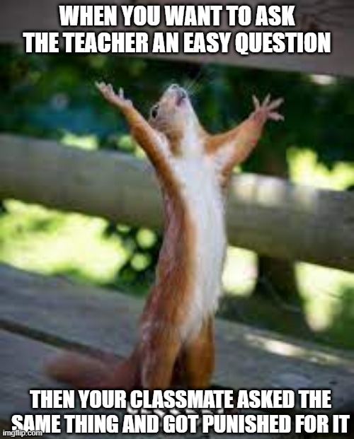 just a relatable meme | WHEN YOU WANT TO ASK THE TEACHER AN EASY QUESTION; THEN YOUR CLASSMATE ASKED THE SAME THING AND GOT PUNISHED FOR IT | image tagged in relatable,squirrel | made w/ Imgflip meme maker