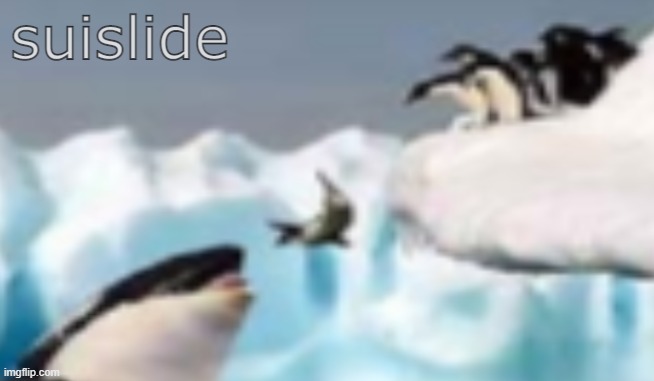 Suislide | suislide | image tagged in suislide | made w/ Imgflip meme maker