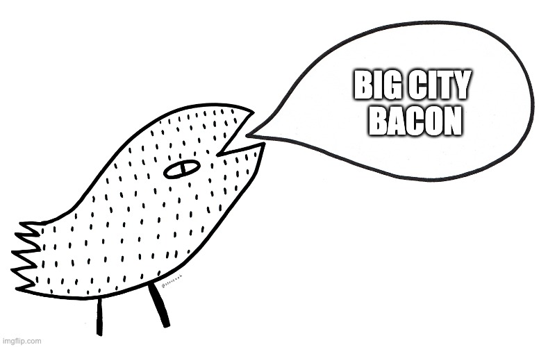 Endless Stream of Random Words | BIG CITY 
BACON | image tagged in verdantbrewingstigbergets | made w/ Imgflip meme maker